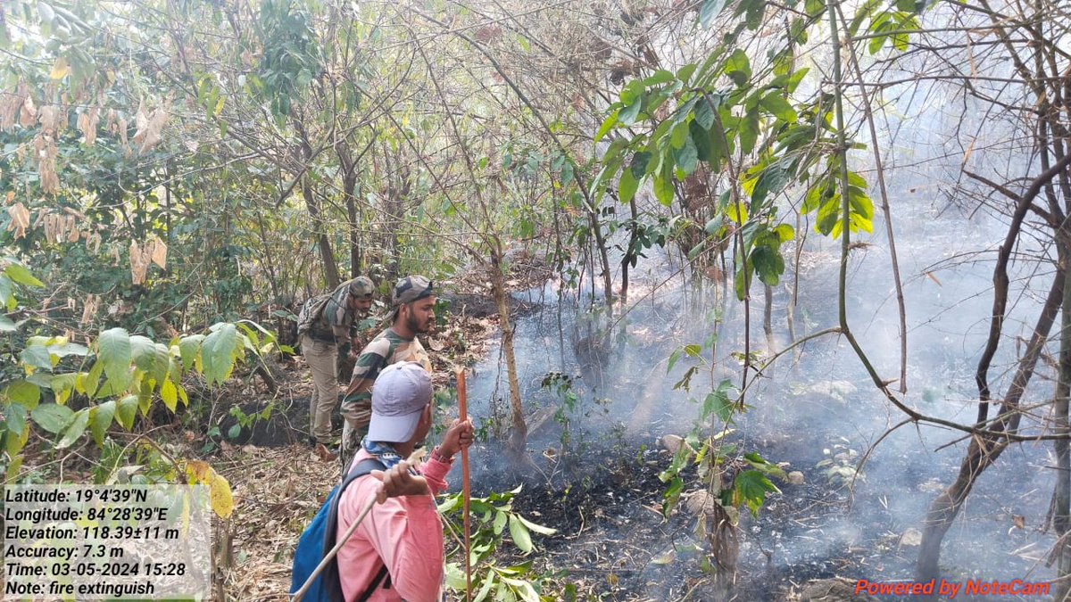 Fire squads have been engaged in protecting forest from forest fire damage.