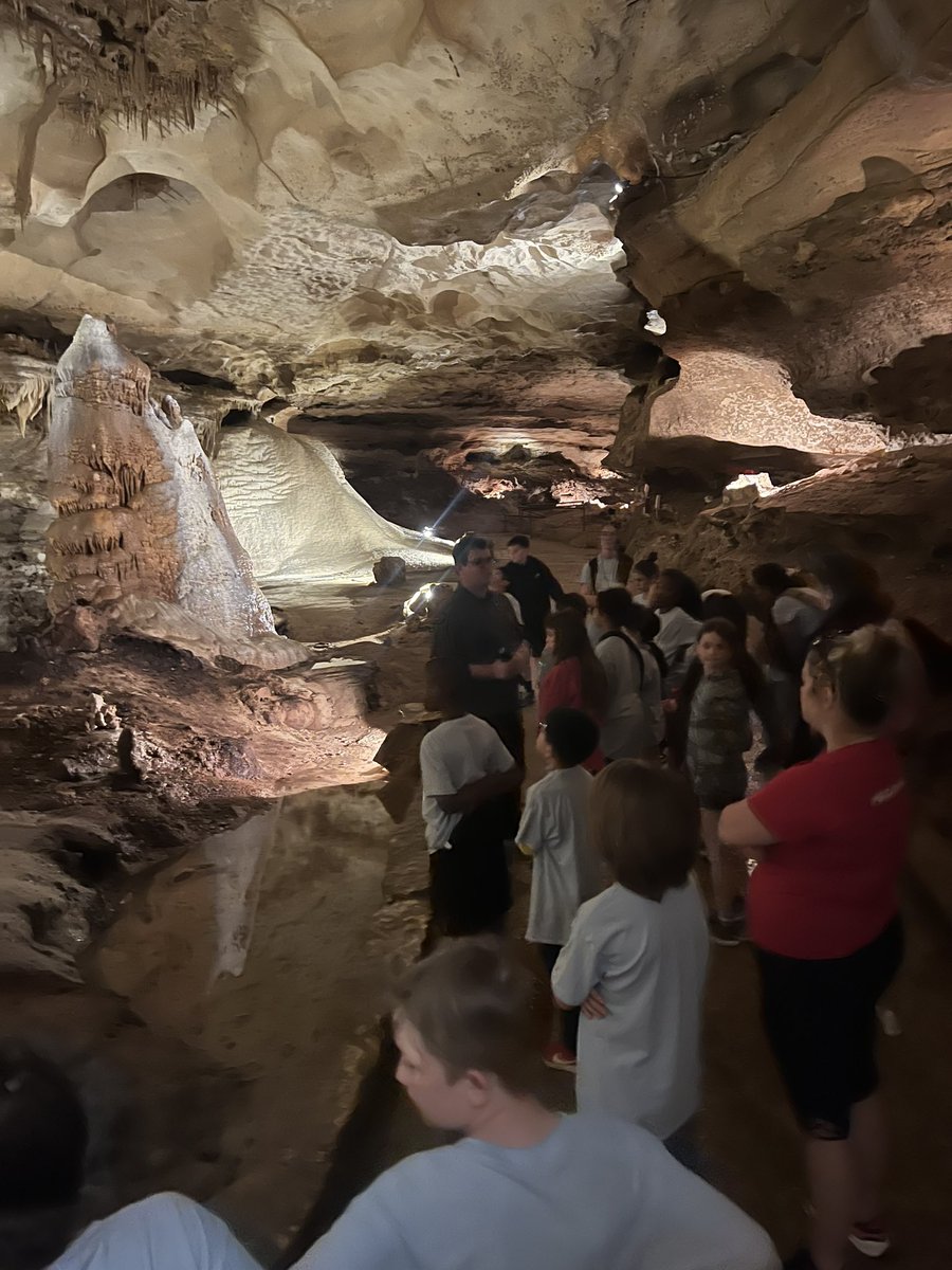 We had an amazing day traveling to the Texas State Capitol and touring the Inner Space Caverns. My students were so engaged in their learning and were excited to share their knowledge on topics we’ve learned in class. What a great day!❤️ <a href="/canSTEM/">Cannon Cubs</a> #Cannonproud