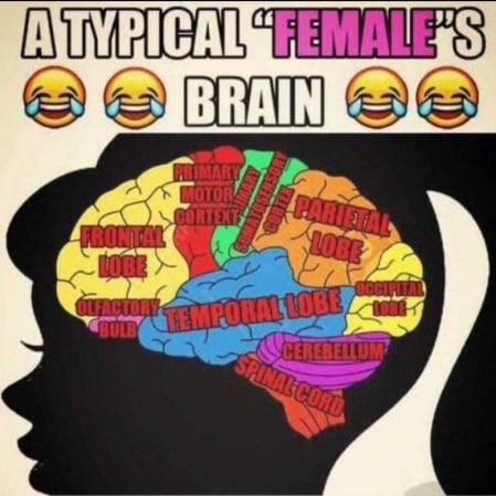 ShitpostGate's tweet photo. https://t.co/rXvX11n9OG