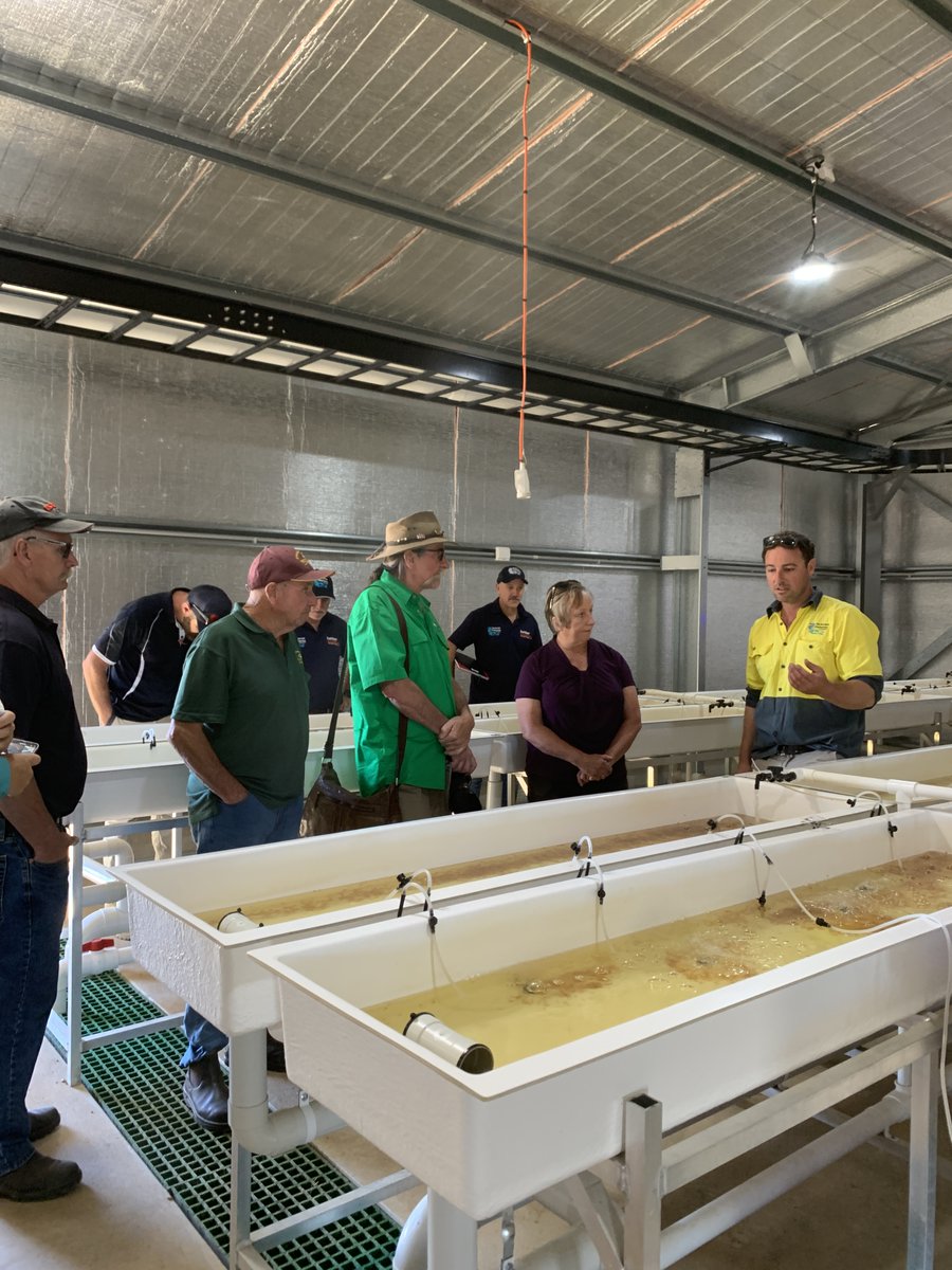 Exciting news! For the very first time, our Arcadia Native Fish Hatchery on the banks of the Goulburn River will be hosting an open day on Saturday 6 April, 9am to 3pm.

To find out more, visit vfa.vic.gov.au/arcadiaopenday.

#arcadianativefishhatchery #openday #gofishingvictoria