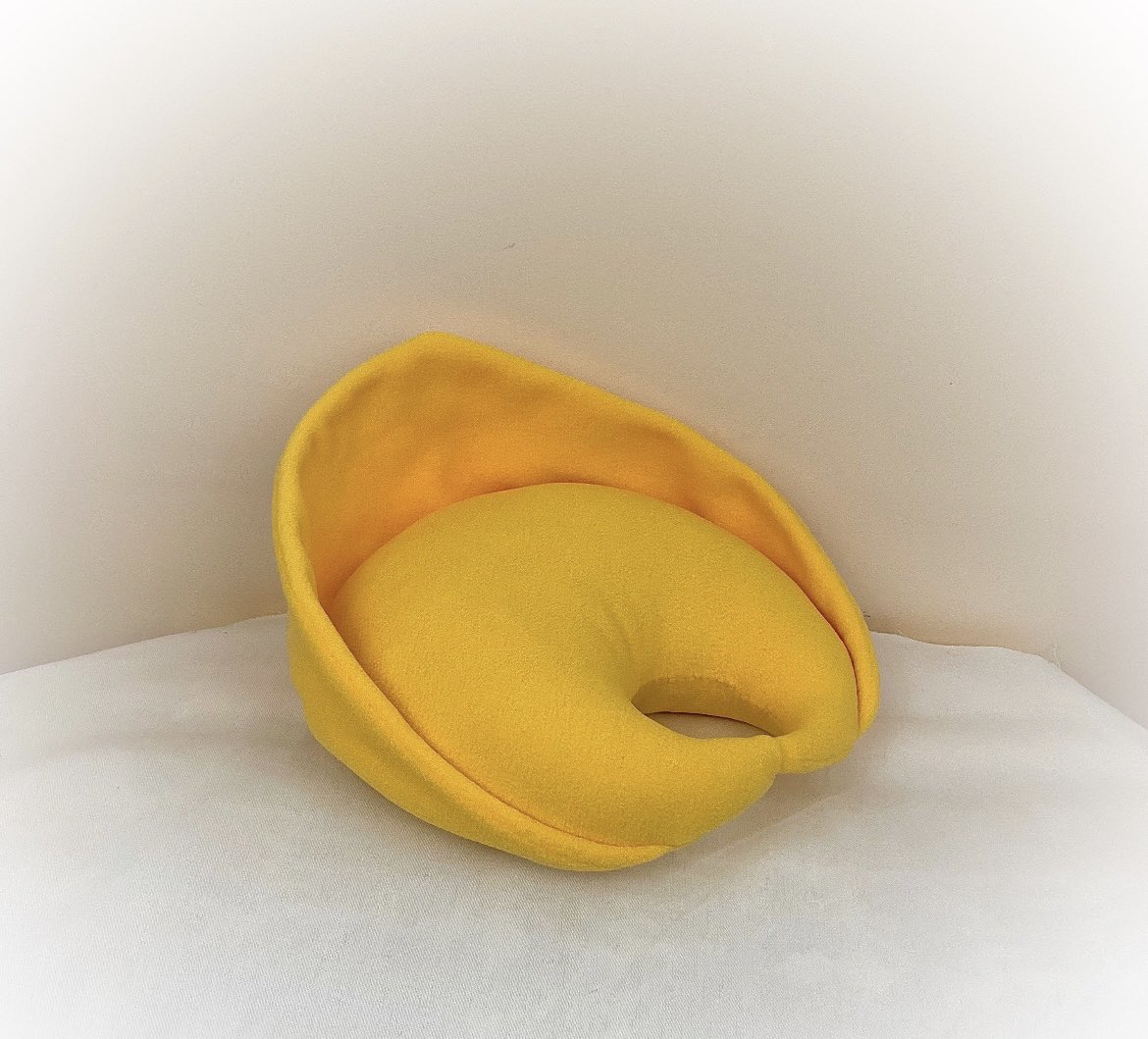 FilledwithUrine's tweet image. babe do you want the farfalle or the tortellini pillow tonight