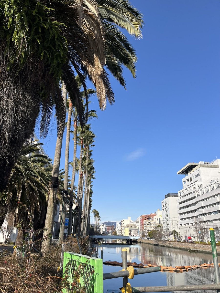 くうれい tweet media