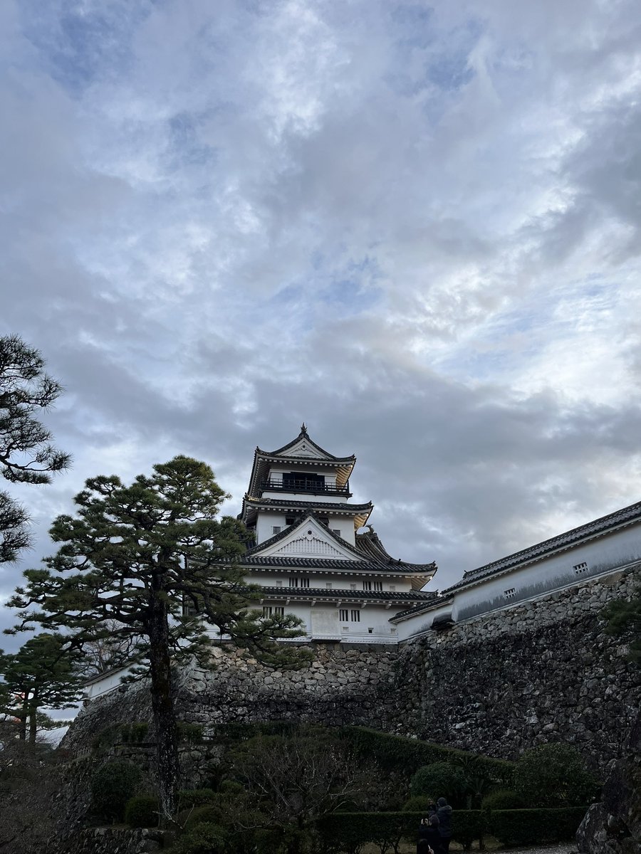 くうれい tweet media