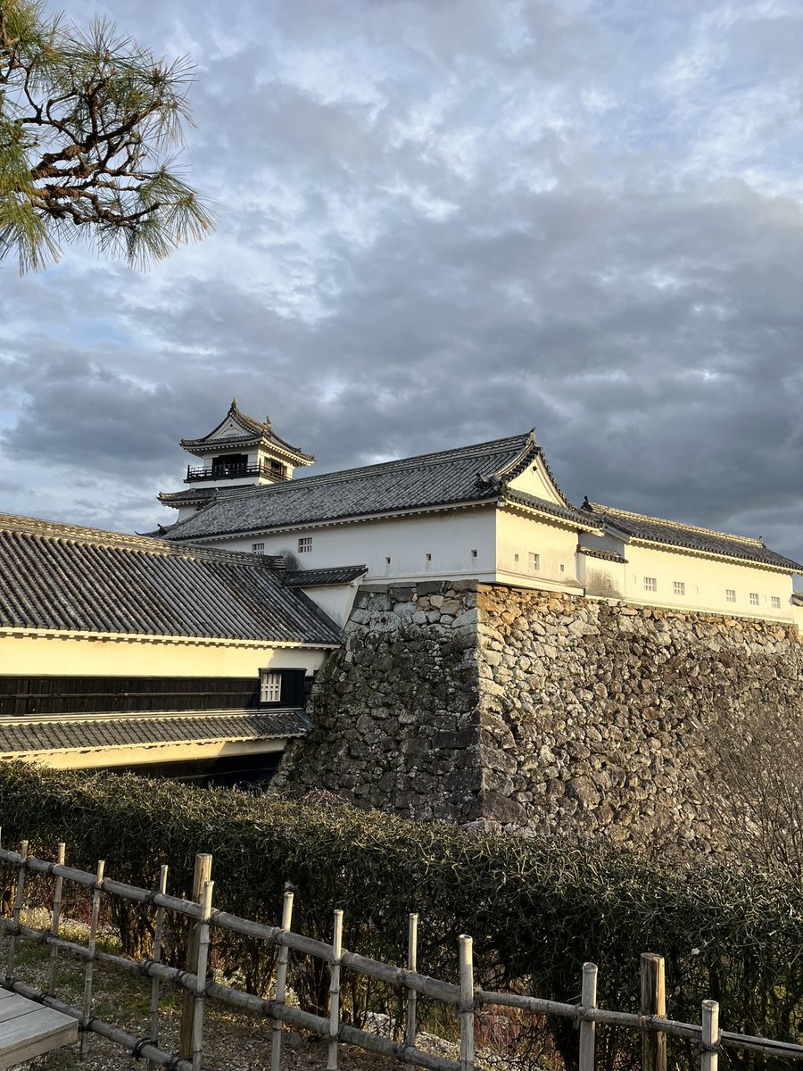 くうれい tweet media