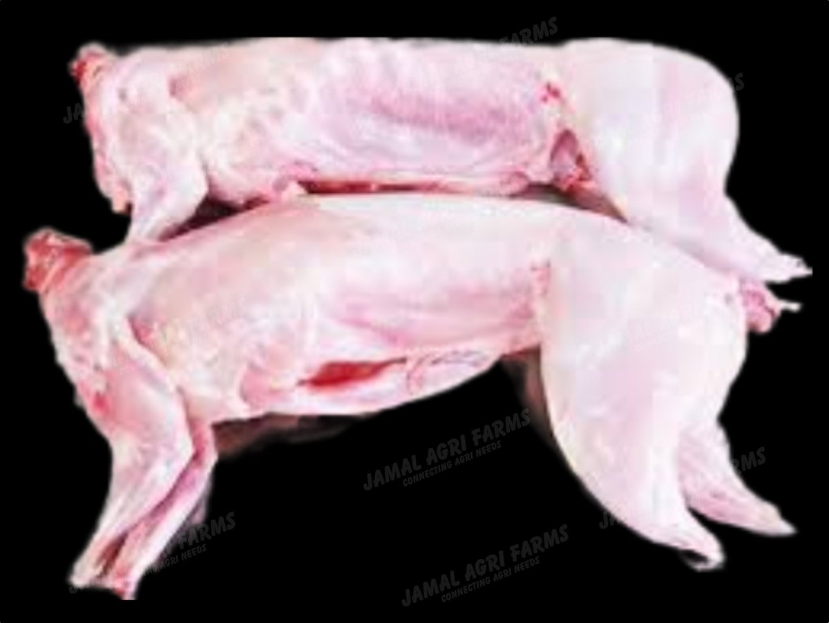 FROZEN RABBIT MEAT
#jamal #agriculture #farms #frozen #rabbitmeat #ordernow #today #thursday #likeme #followformore #ShareThis