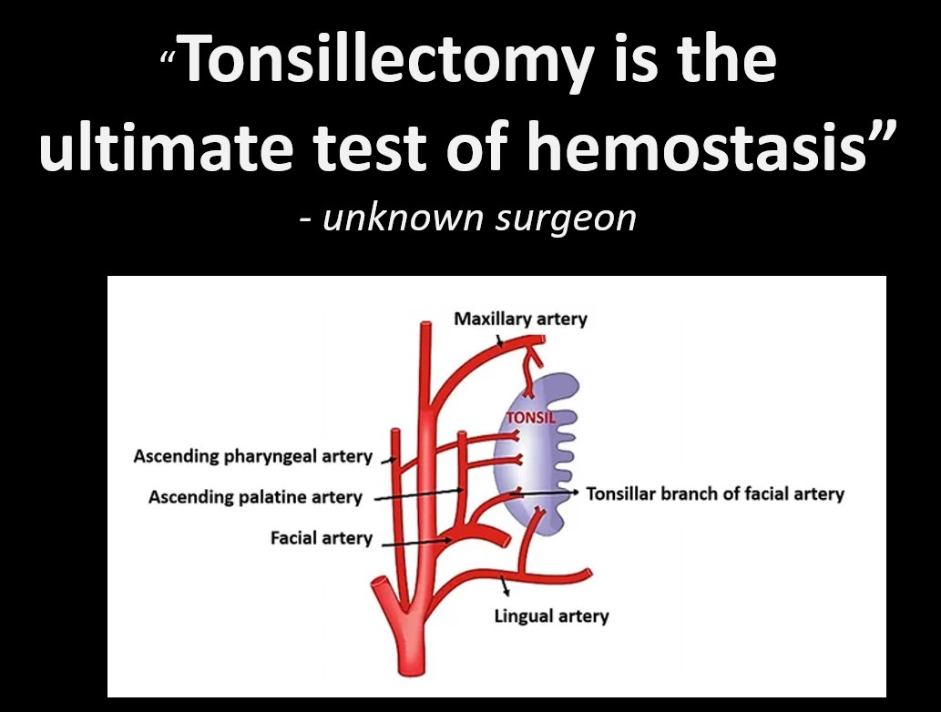 Mike Abernethy 🇺🇸 tweet media