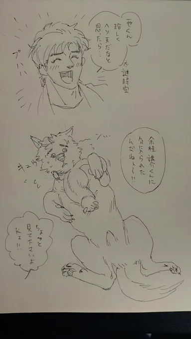 動物のけぇつぅ 