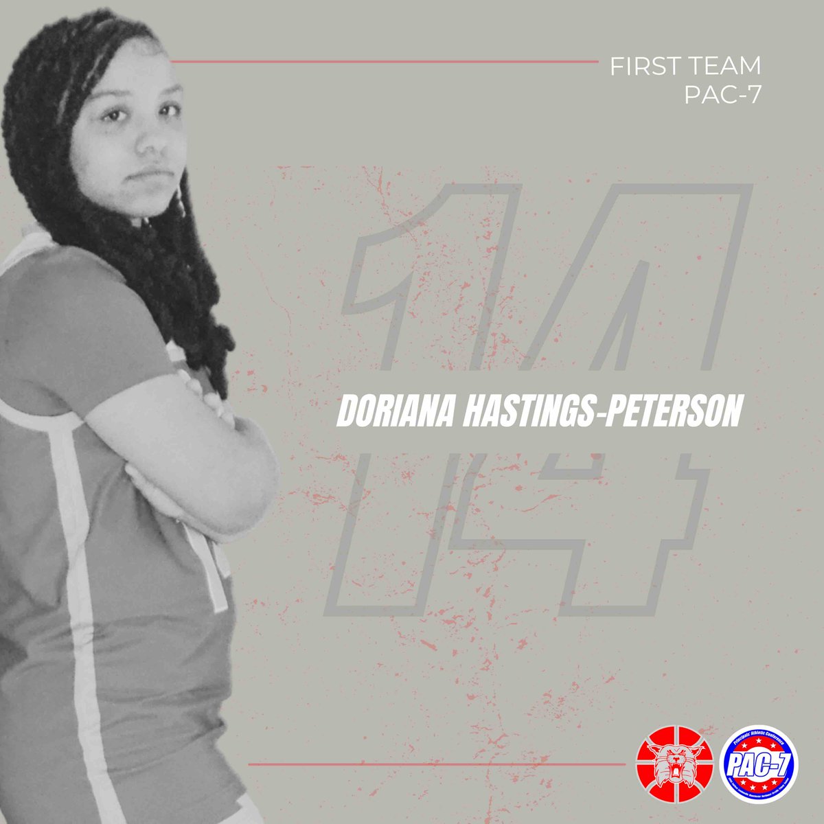 Lady Wildcats Basketball tweet media