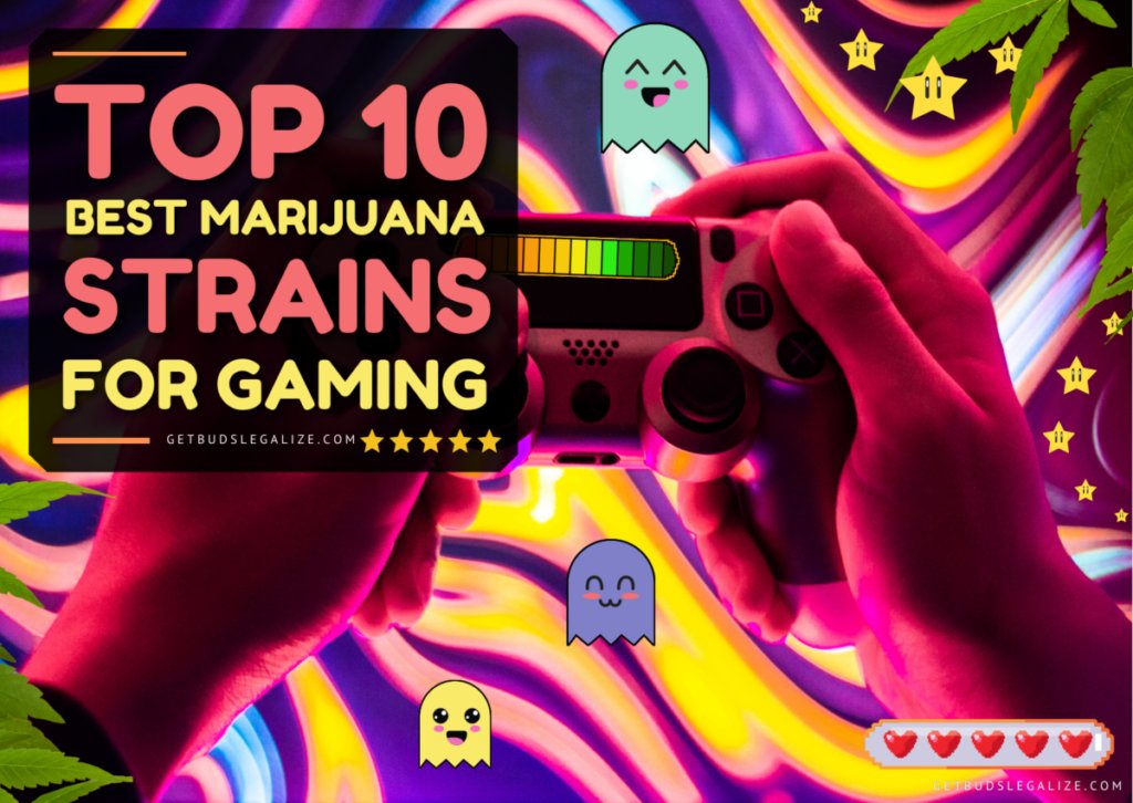 Top 10 Best Strains for Gaming: The Definitive Guide getbudslegalize.com/top-10-best-st… 
#GamingStrains #CannabisGaming #GameAndChill #HighScoreStrains #GamerGreenery #CannabisForGaming #ElevatedGaming #StrainSelection #PotAndPlay #GamingWithGreen