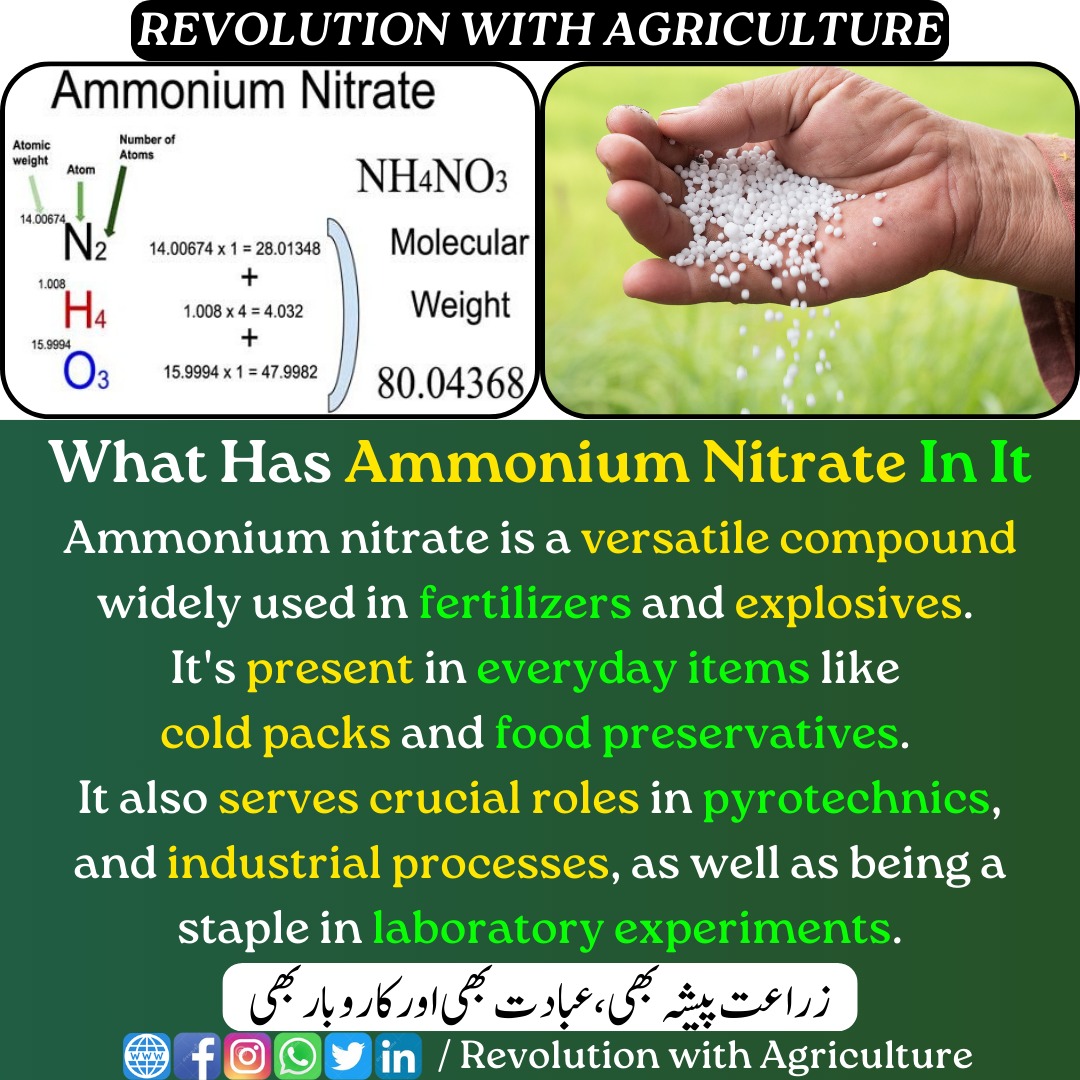 'What Has Ammonium Nitrate In It.' Read more   [mumerjaved.com/?p=306
#revolutionwithagriculture mumerjaved.com
 #Agriculture #crops #Plants #farming #farmers #agriculturalscience #modernagriculture #FertilizerFacts #AmmoniumNitrate #Ammonium #ChemicalCompounds