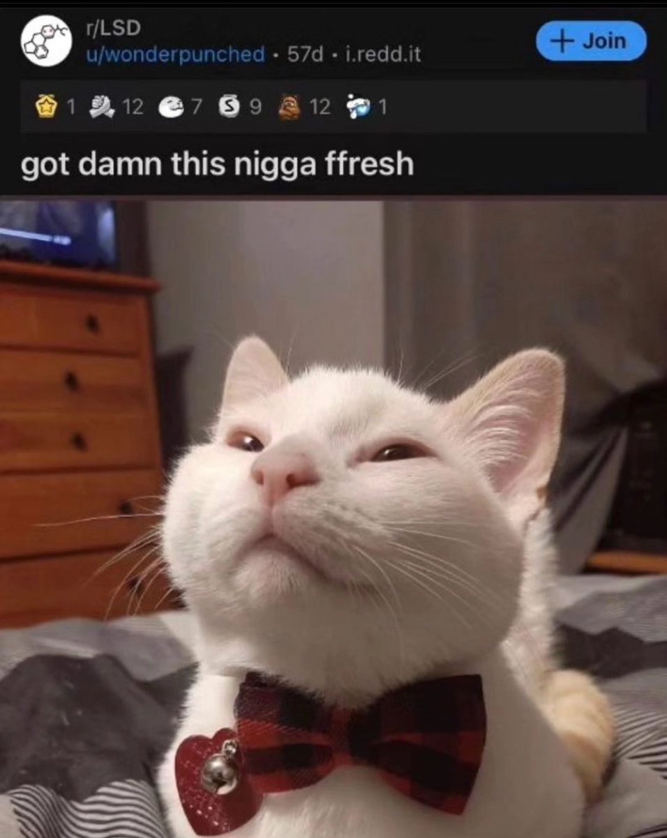 PunchingCat's tweet photo. yeah he’s handsome ngl https://t.co/HvrdANHXok