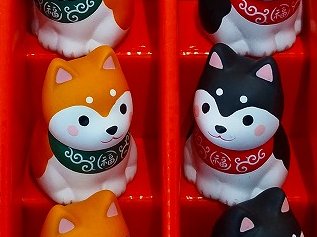 ４月8日は、シバ犬の日。
日本の天然記念物に指定されているんですね。
#柴犬の日