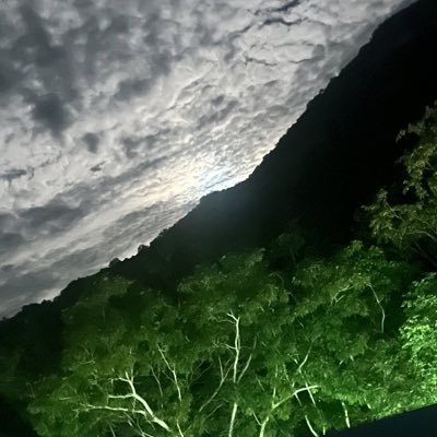 #NewProfilePic