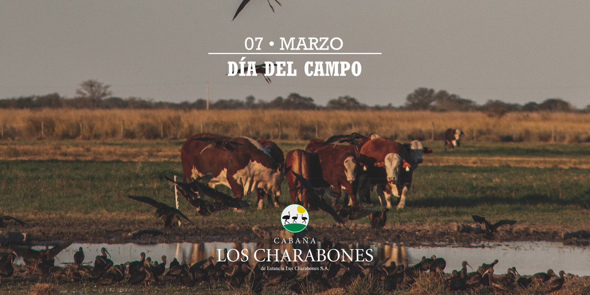 🇦🇷Celebramos la importancia que tiene el medio rural para el buen desarrollo de la vida social, ambiental y económica de cualquier sociedad. 🇦🇷