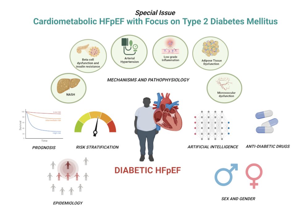 #CardiovascularDiabetology🫀is calling for submissions to our Collection on Cardiometabolic HFpEF focusing on T2DM!

🎯AIMS: to highlight the complex interplay among metabolism, #HFpEF and T2DM

By Prof. Paneni (Zürich)
Submission: Open until 11/2024
@BioMedCentral #diabetestype2