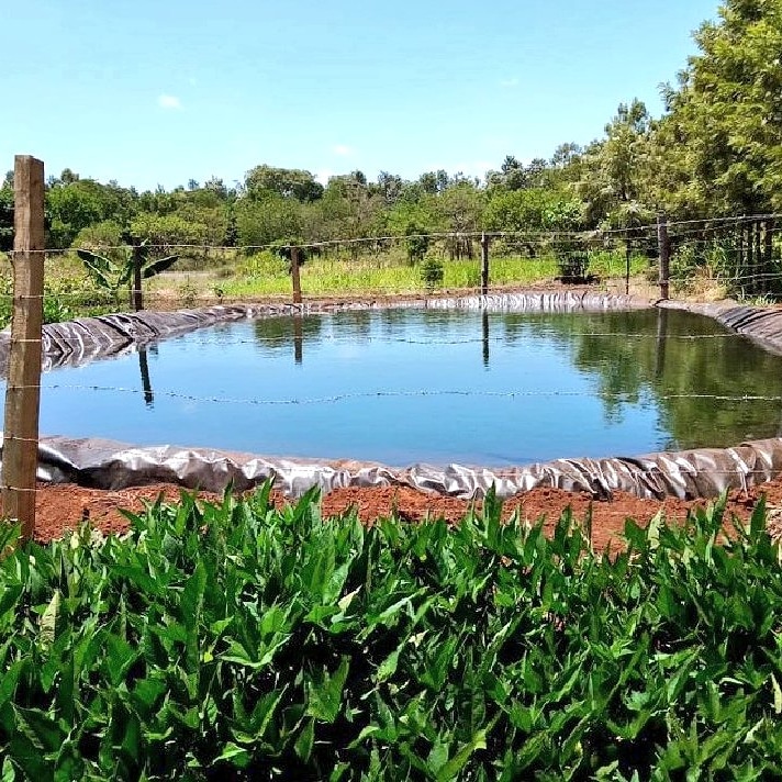 Did you know that apart from rainwater harvesting and storage, dam liners are also used to line fish ponds? By preventing seepage, dam liners help maintain water quality by reducing the risk of contamination. Clean water promotes fish health, growth, and reproduction, leading to