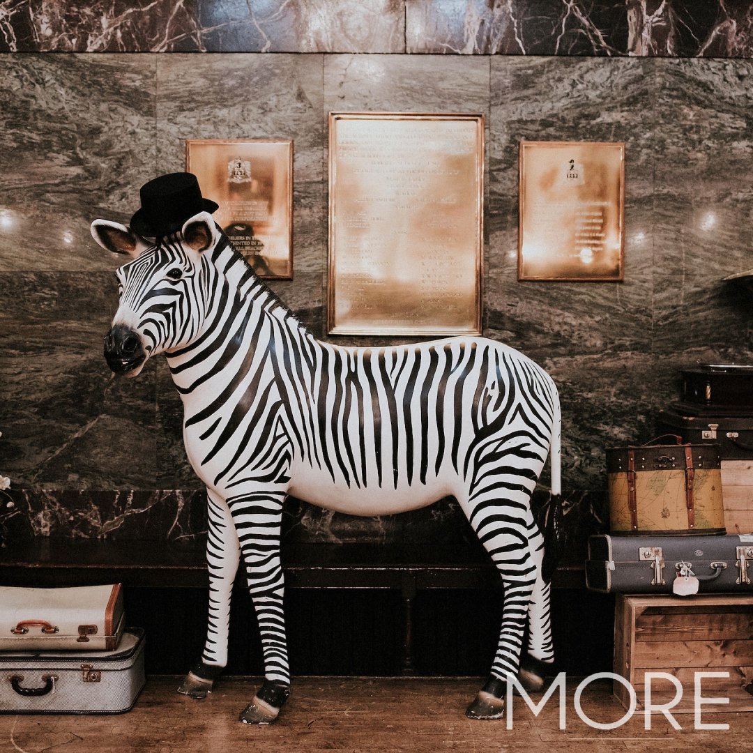 Transform your event into a wild adventure with our animal prop hire! 🦁🦓 From zebras to elephants, we've got the perfect touch to make your event unforgettable. Let your imagination roam free! #AnimalPropHire #EventTheming #PropHire #EventProduction