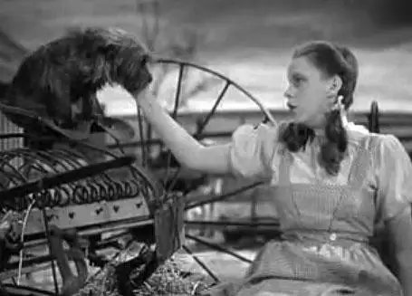 EpicFactzz's tweet photo. @Fact 🌈 Did you know? Most people dream in color, but those who grew up watching black and white television often dream in black and white. Explore the fascinating influence of visual experiences on our dreamscapes! 📺💭 #EpicFactzz https://t.co/A1q16lbuvF