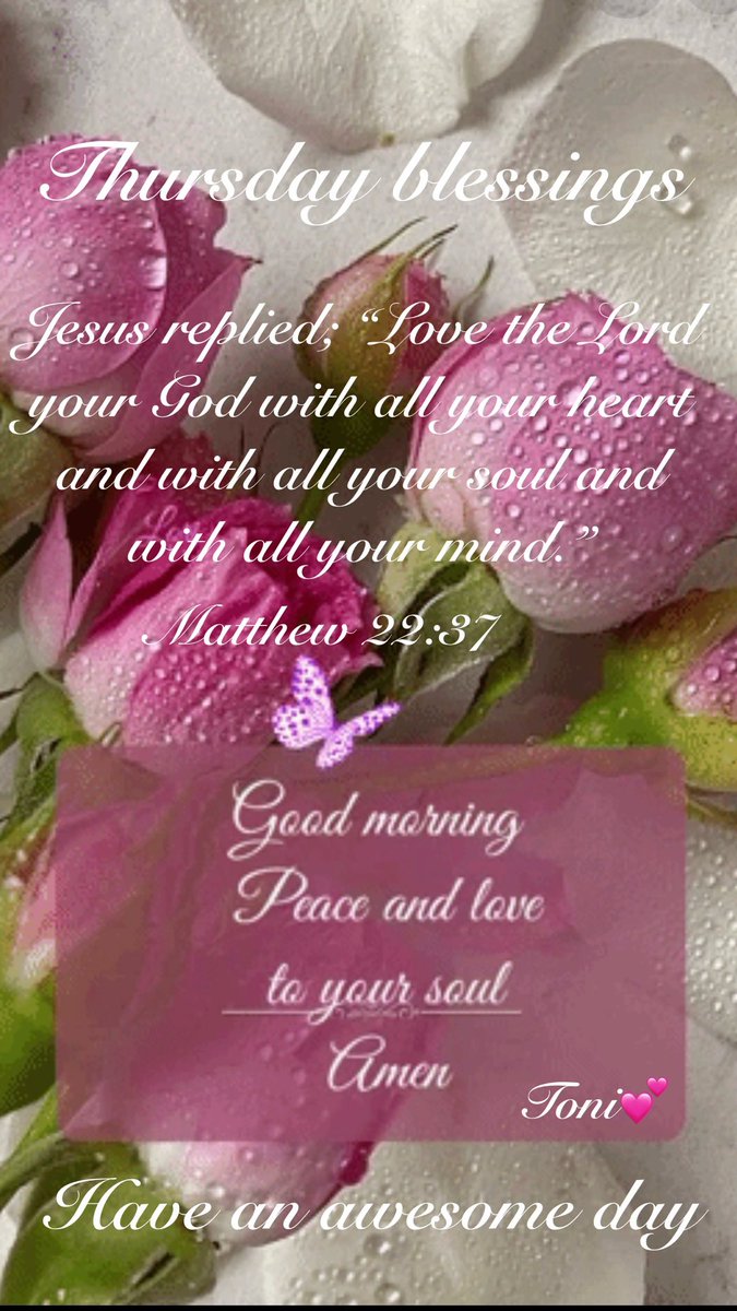 ToniLL22's tweet photo. Happy Thursday patriots🇺🇸
🙏Have a blessed day💕🙏 https://t.co/dbbbII08bp