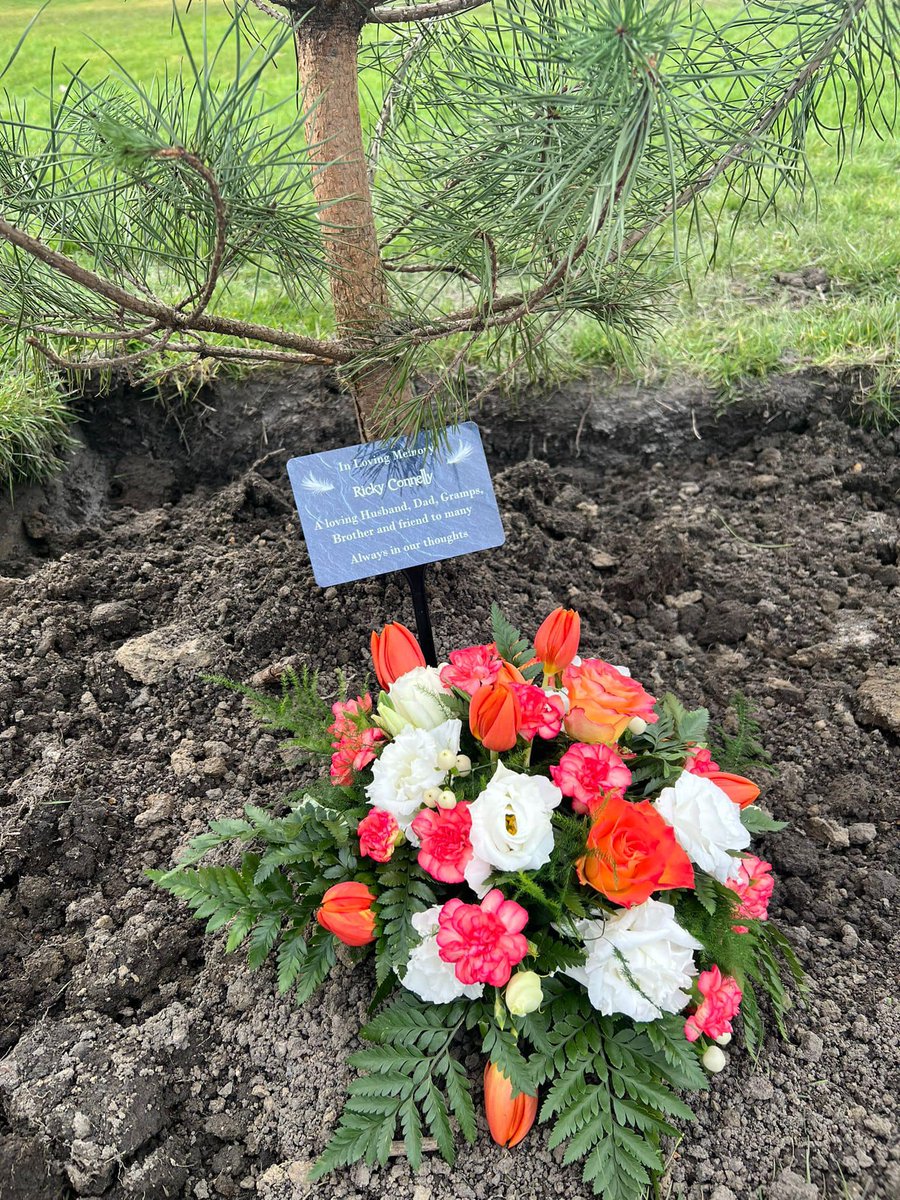 Trees are seen as an everlasting memory of life. 
Ricky, Your memory will live on as this Scots-fur blossoms and grows. Rest in Peace Ricky
Forever a part of Canmore GC 
#golf #dunfermline