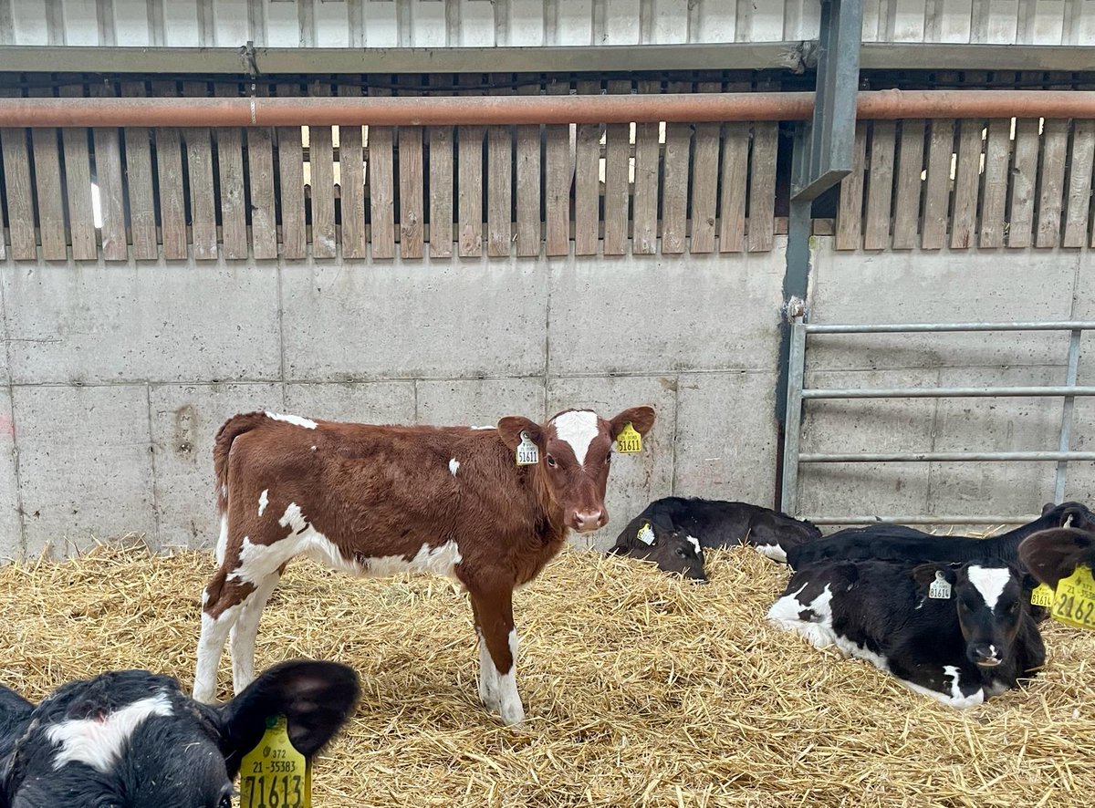 Dovea Genetics tweet media