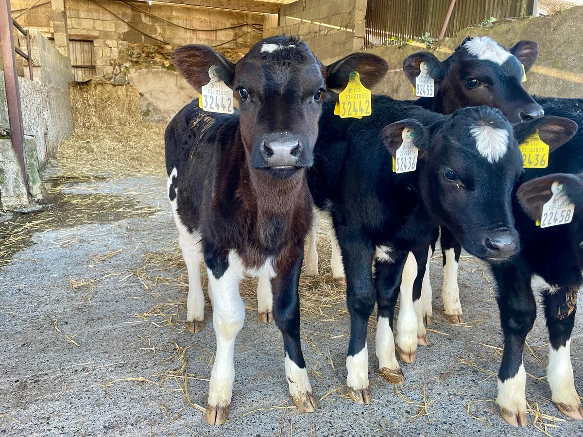 Dovea Genetics tweet media