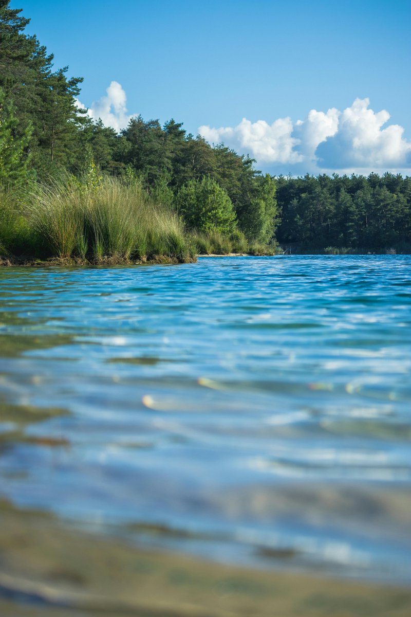 LIFEcyanobloom's tweet image. #REPLICABILITY ➡️One of the key elements of the #LIFECYANOBLOOM project is that it involves the development of a tool that can be used and applied to any location. 1/3 ⬇️