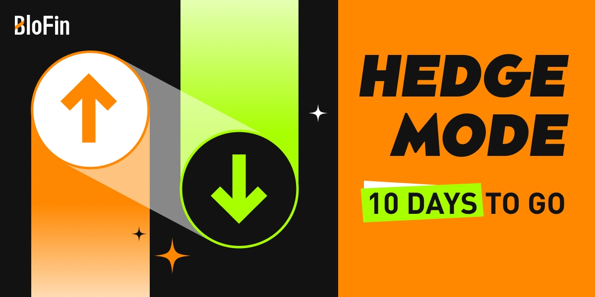 BloFin_Official's tweet photo. 🚀 Exciting news! #BloFin is gearing up to launch Hedge Mode in just 10 days!
🌟Stay tuned on @BloFin_Official for updates and get ready for a game-changing feature that will revolutionize your #crypto trading experience.
#Hedgemode https://t.co/lxvGZzSU7O