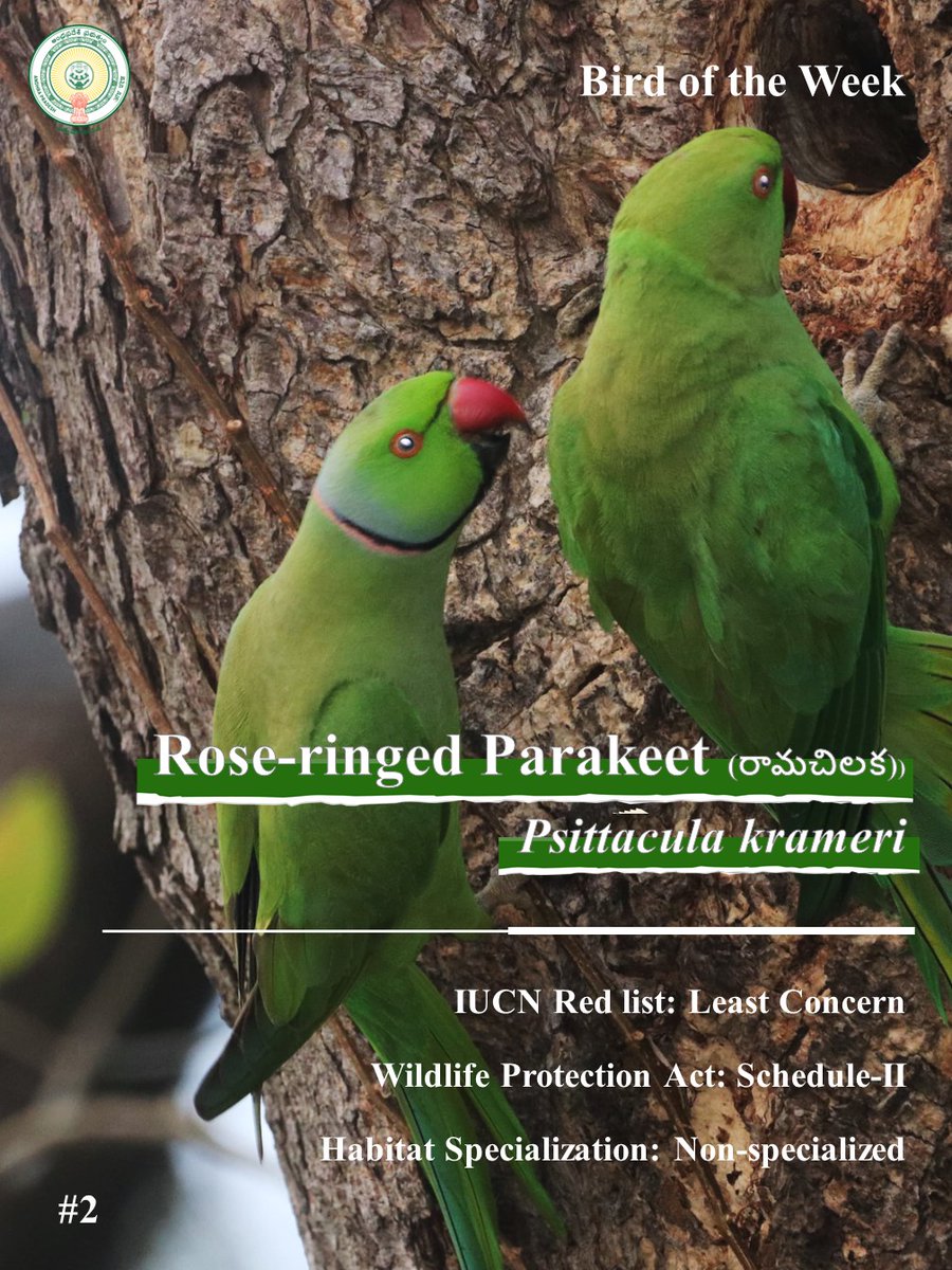 Andhra Pradesh Environment & Forest Department tweet media