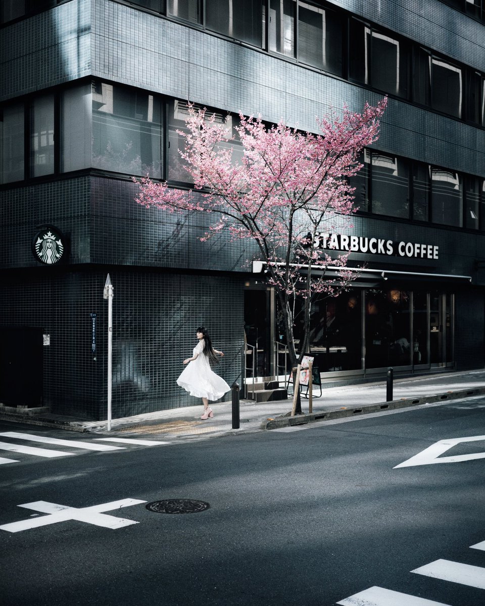 ig_water's tweet photo. 🌸

#tokyocameraclub https://t.co/BsXqDrKkgn