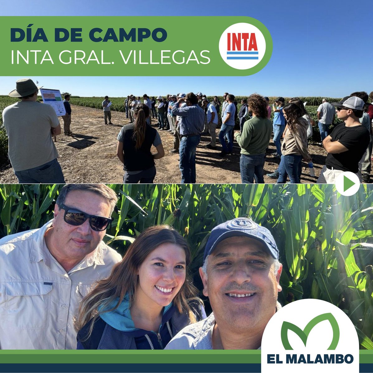 El Malambo Agro SA tweet media