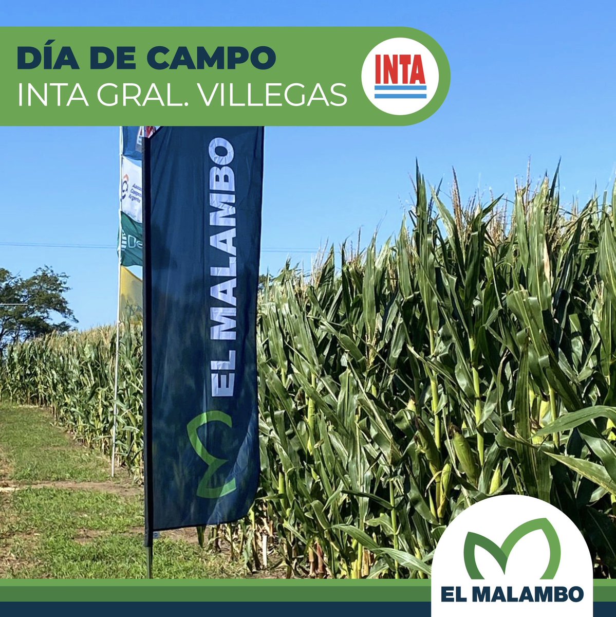 Acompañamos a <a href="/inta_villegas/">INTA Villegas</a> en una nueva jornada de “Día de Campo”
en La Belita.

Se llevó a cabo una nueva edición de la jornada “Día de campo”, organizada por la Estación Experimental Agropecuaria General Villegas del INTA y por la Agencia de Extensión Rural de la localidad.