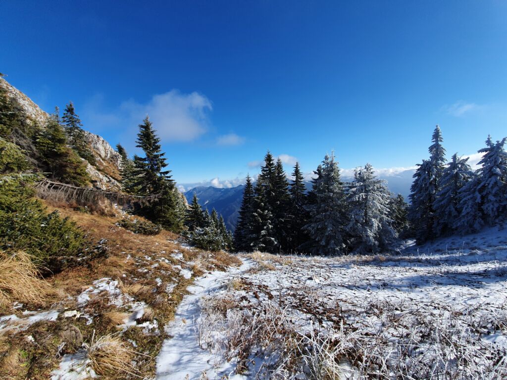 RJonTourUK (@rjontouruk) on Twitter photo There are many opportunities for long walks or hiking in Brasov and the rest of the county. Most of this includes getting into the beautiful Carpathian Mountains.
rjontour.com/hiking-in-bras… #hikingadventures #romania #TravelTheWorld There are many opportunities for long walks or hiking in Brasov and the rest of the county. Most of this includes getting into the beautiful Carpathian Mountains.
rjontour.com/hiking-in-bras… #hikingadventures #romania #TravelTheWorld