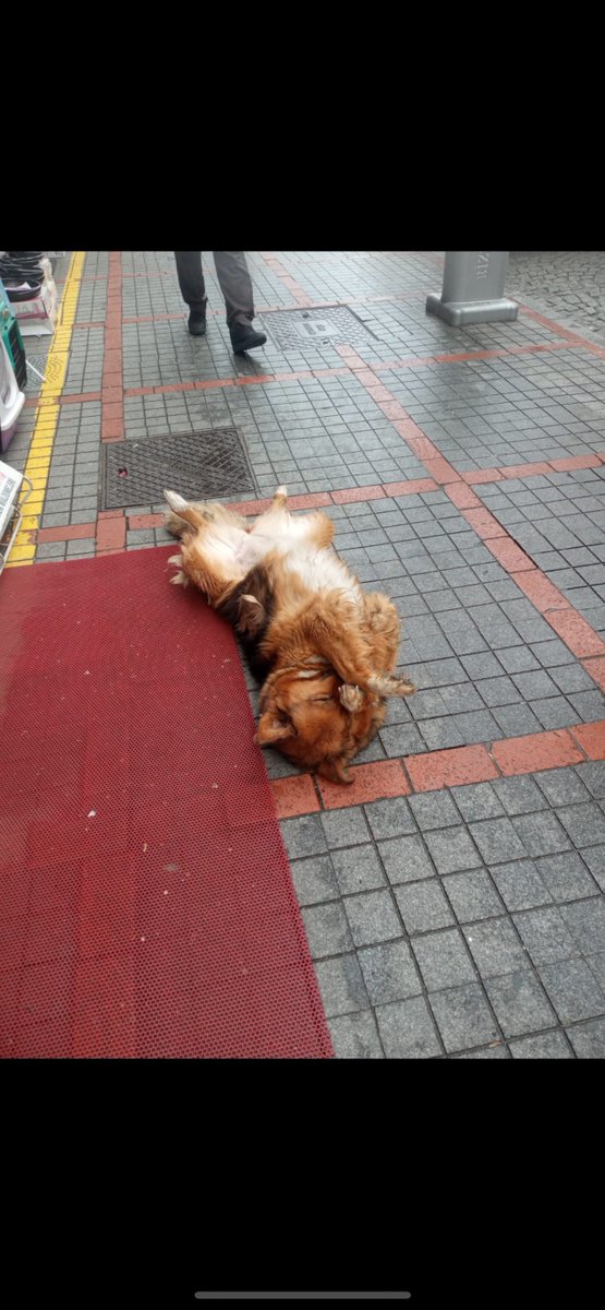 Herifte ki keyfe bak