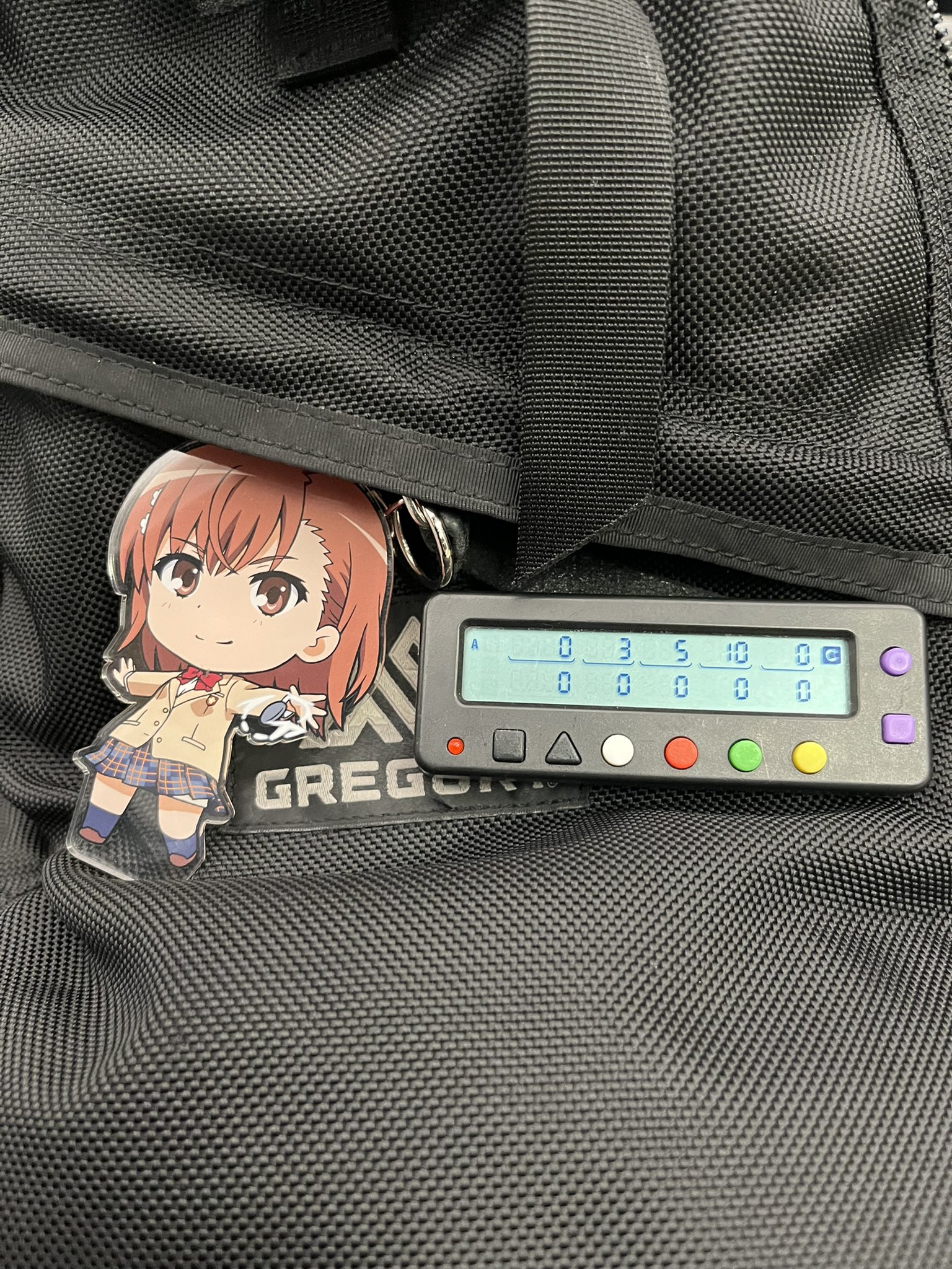 りんちゃん来店 - البحث / X