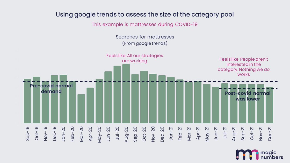 Dr Grace Kite 🪁 tweet media