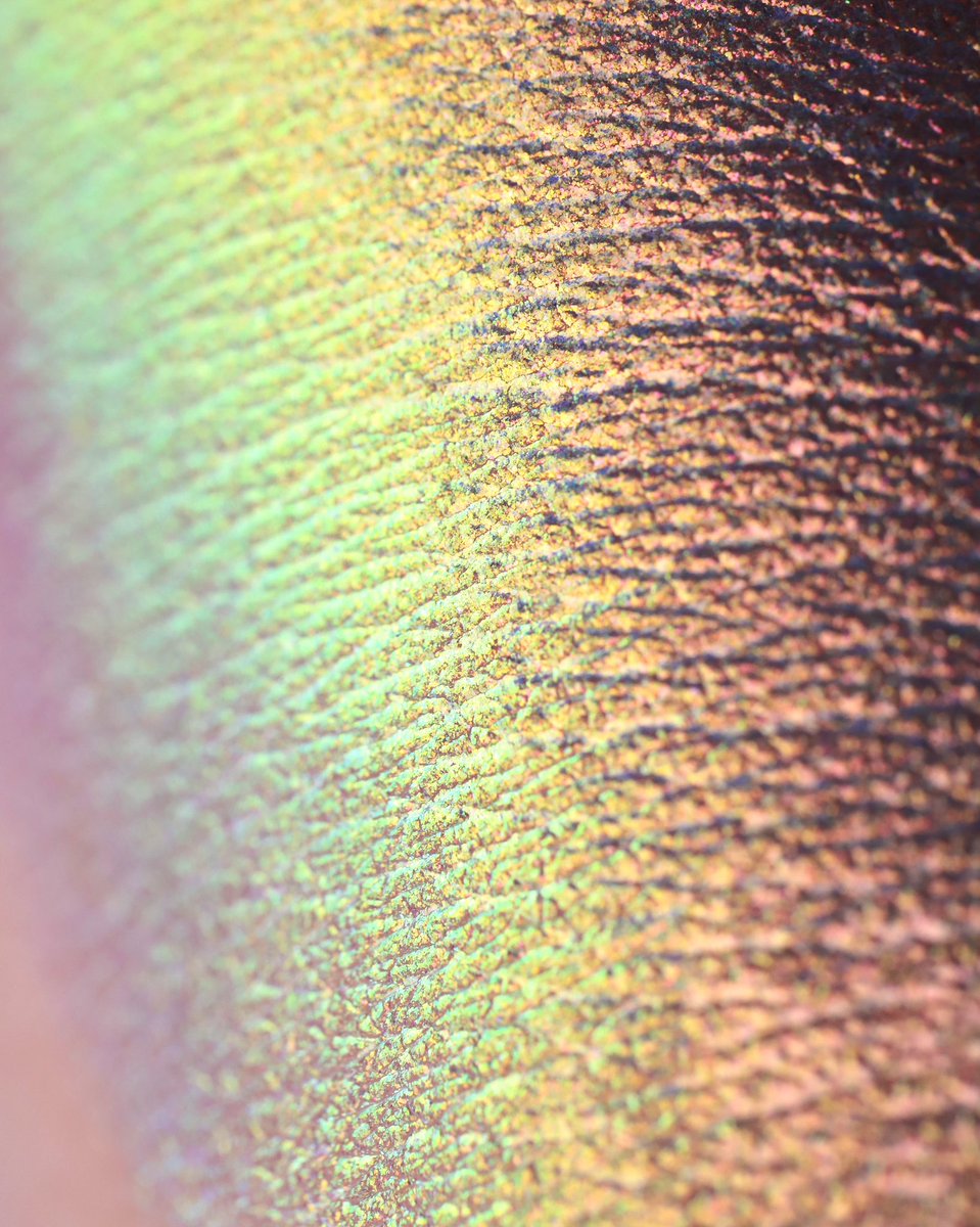 karlacosmetics's tweet photo. ✨ Katie's top picks for a stunning look: ✨
🌙 "Beauty Sleep" 💤
💜 "Insomnia" 😈
Opal multichrome magic for highlighting and eyeshadow perfection! ✨
https://t.co/IsdGFO3pPq
#MakeupMagic #OpalObsession https://t.co/AdsIGNob7k