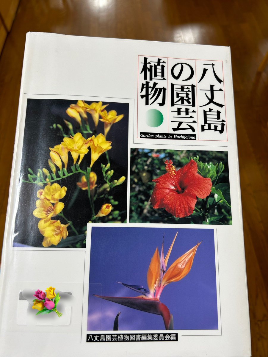 八丈島が雨の日には本を1冊紹介 (@book8jo) / Posts / X