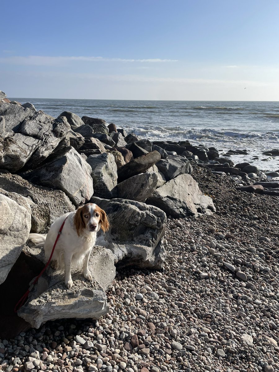 When you have to pose for your school photo