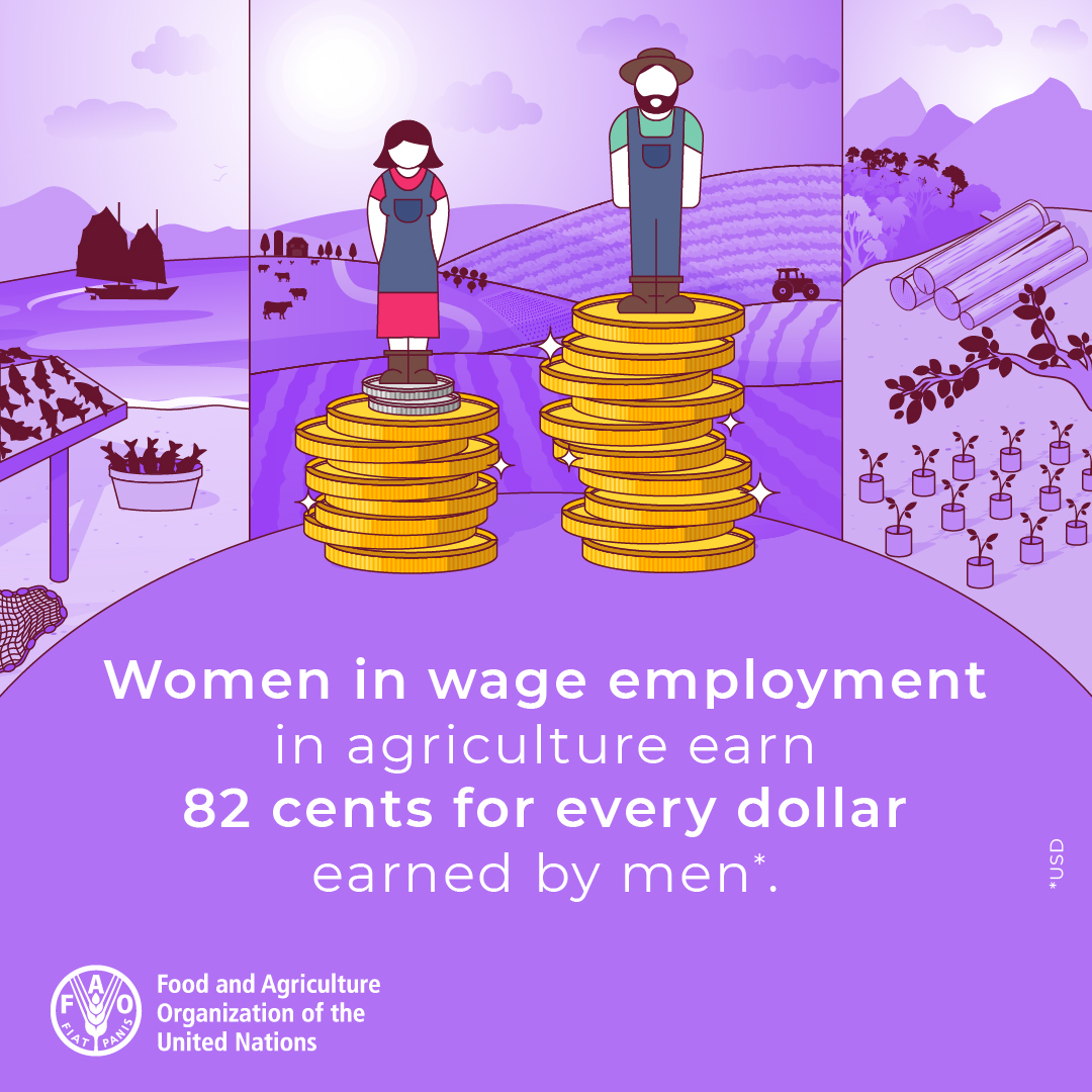 Did you know that 36% of agrifood workers in the world are women? Yet, #RuralWomen earn nearly 20% less than men and have reduced access to land, credit, technology and information. This has to change. #LetsGrowEquality #YearOfTheWomanFarmer