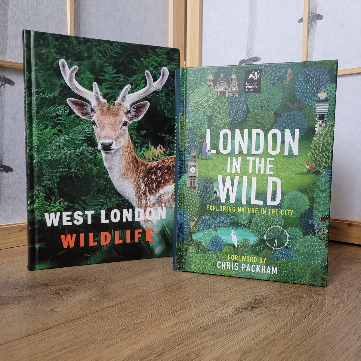 It is #WorldBookDay2024 and we recommend these fantastic books with contributions from our Technical Director Amy Pryor and Data & Training Manager Wanda Bodnar about the Thames. @WildLondon @AuroraMetro