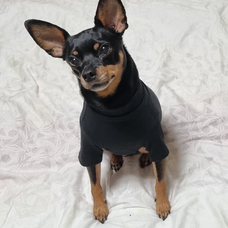 설히이 tweet media