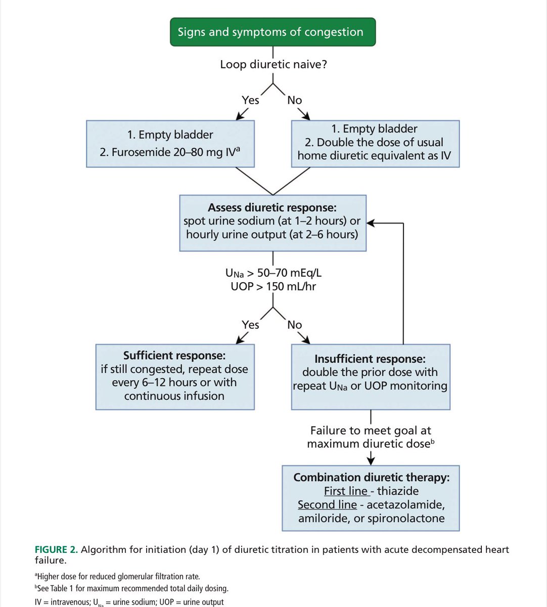 EmergPOCUS's tweet image. 💊 #Dosis de #Diuréticos en Insuficiencia Cardíaca Crónica 💊

🔹 Diuréticos de #Asa:

•💊 #Bumetanida: Iniciar 0.5-1.0 mg, puede ser 1 o 2 veces/día, máx. 10 mg/día. 🕒 Efecto: 4-6 h.
•💊 #Furosemida: Iniciar 20-40 mg, puede ser 1 o 2 veces/día, máx. 600 mg/día. 🕒 Efecto: 6-8…