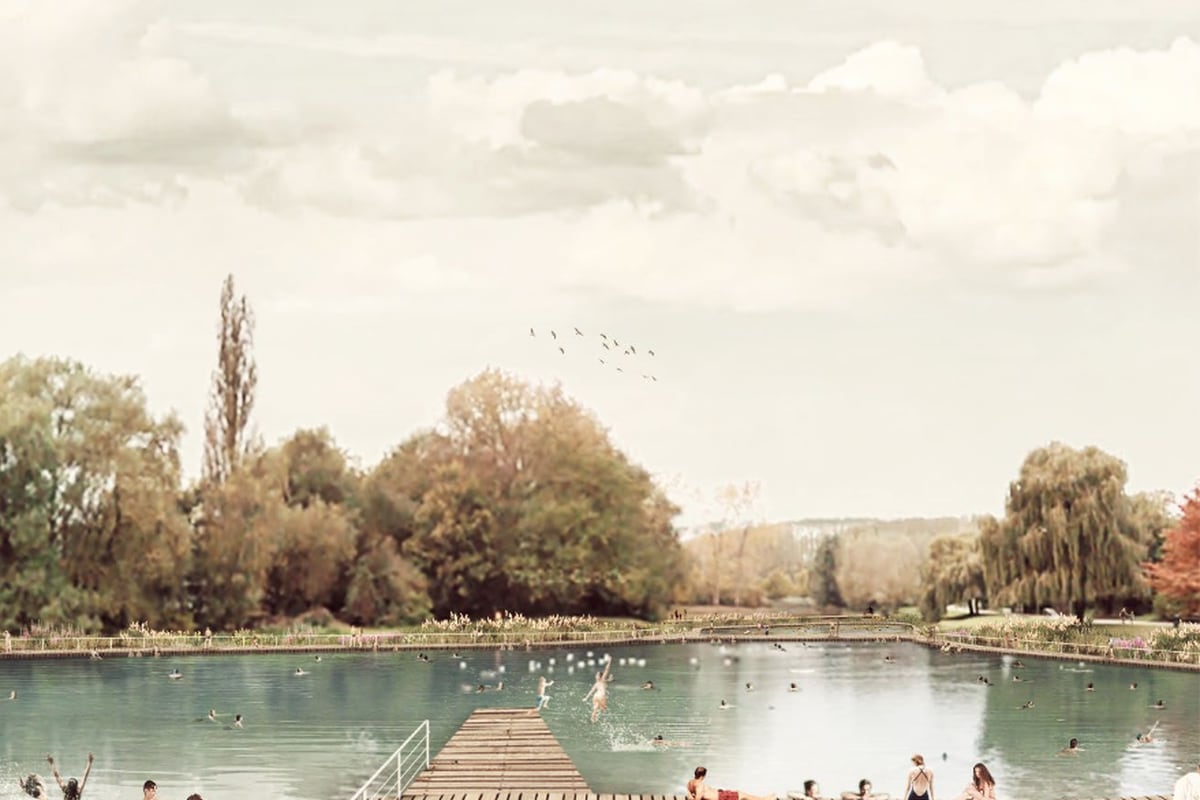 Premier feu vert pour l’étang de baignade à Neerpede : le permis d’urbanisme est octroyé dhnet.be/regions/bruxel…