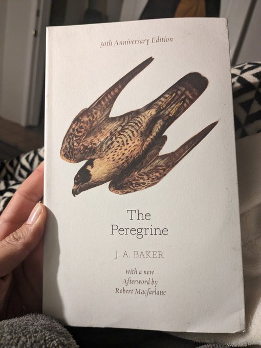 Thank you! This arrived without a note. https://t.co/58PuIr8IVr<a href="/tag/myxanniversary"class="tags"><span>#myxanniversary</span></a>