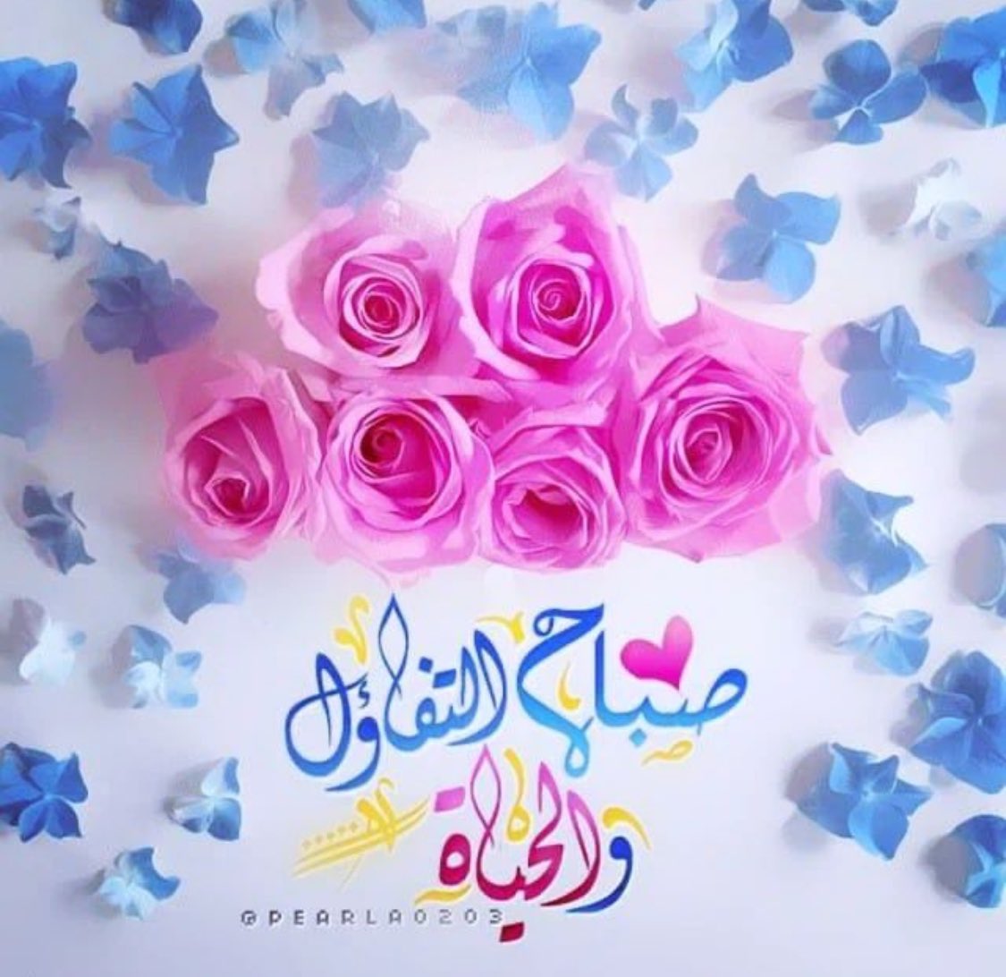 بنت سدير tweet media