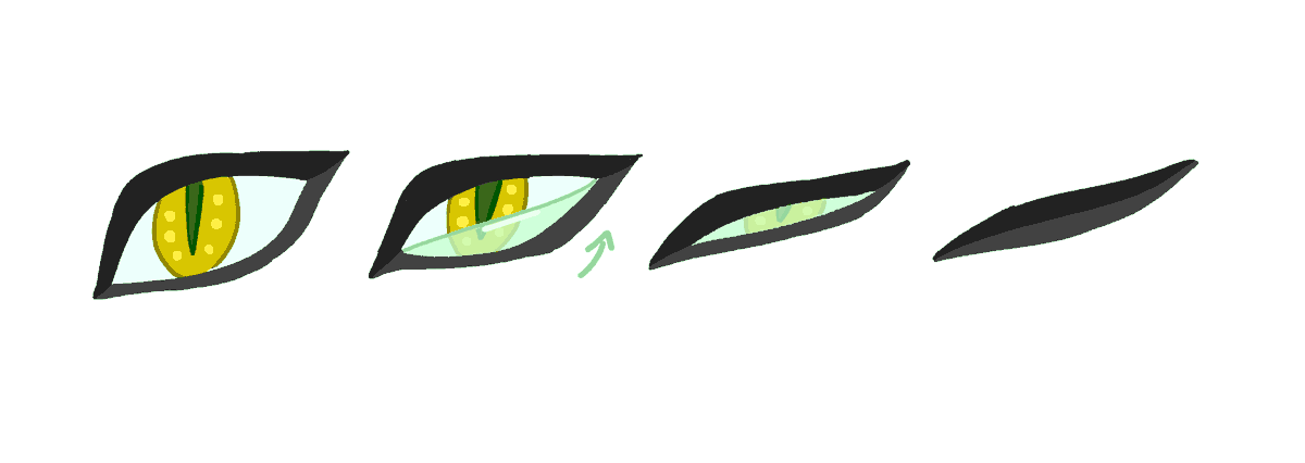 ancientscrew's tweet photo. Exploring if Sidon's eyes had nictitating membranes 🩷
There are many benefits to pretending to be a marine biologists https://t.co/GGj9DKyQmV