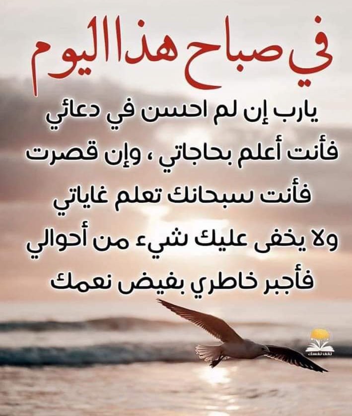 محمد ديب يعقوب 2 tweet media
