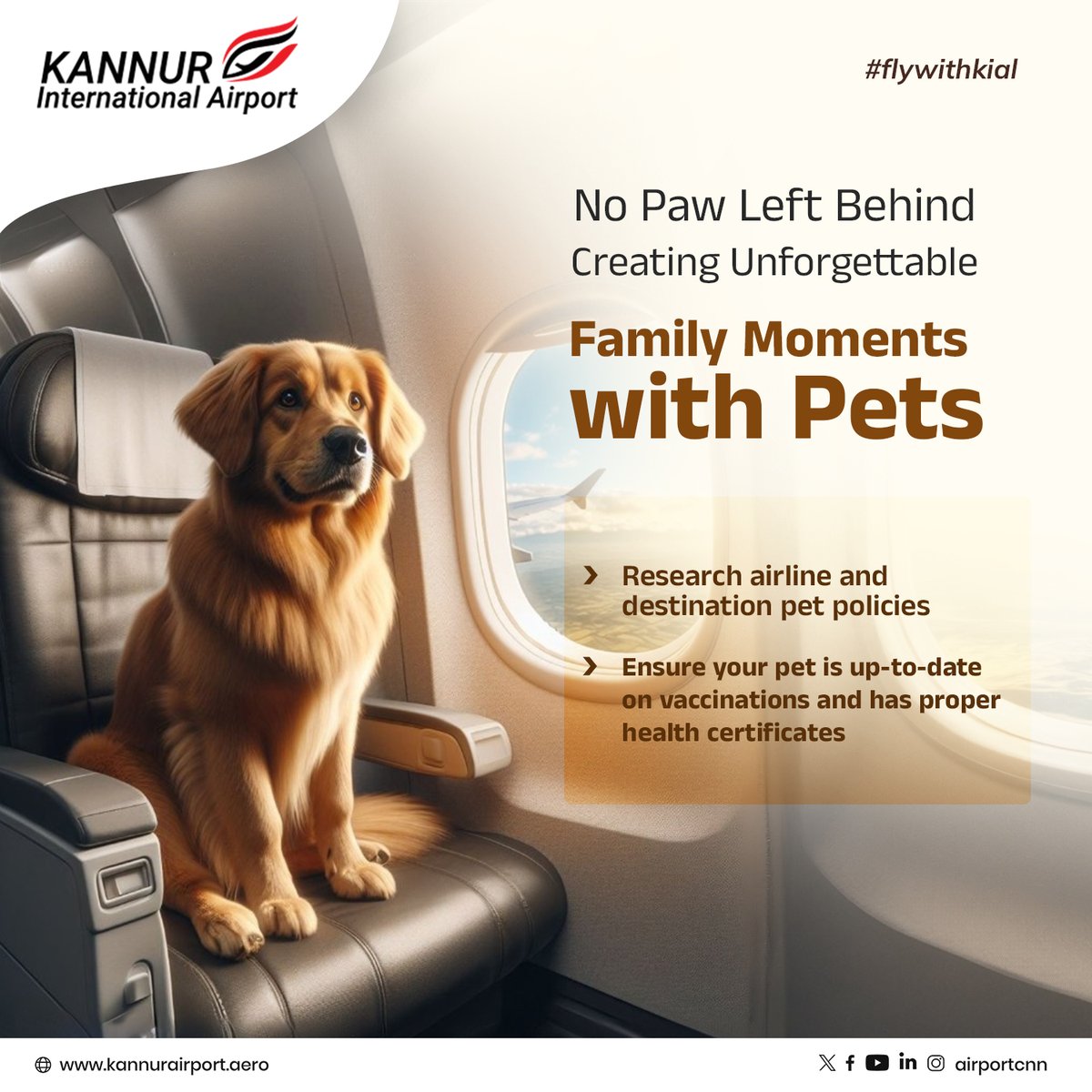 Sit back, relax, and enjoy the journey with your furry co-pilot by your side

#kannurinternationalairport #kial #traveltip #flywithkial #travelwithpets #petlove