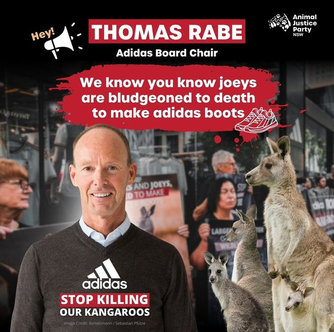'Down Under' adidas has Kangaroos bludgeoned to death to make shoes, and the orphaned Joeys starve to death! #boycottadidas
x.com/animaljusticeA…
